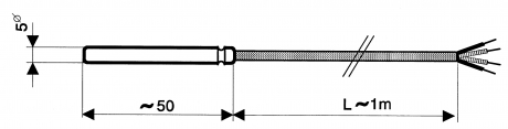 Pt100 temperature probe | GTF 200 Pt100