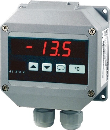 temperature meter | T 1010