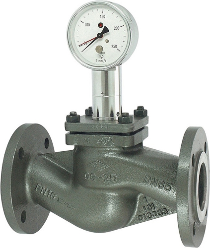 flowmeter | TZ1-125FG