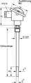 Pt100 temperature probe | 8101/A