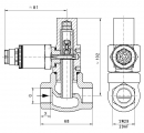 flow switch | G-...GR